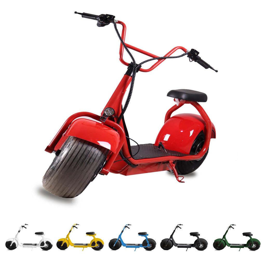 mainimage_coloramazon_1024x102